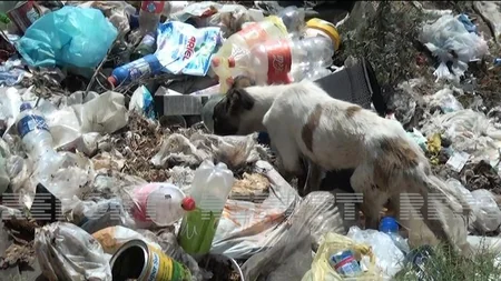 Biləsuvarda məişət tullantıları anti-sanitariya vəziyyəti yaradıb