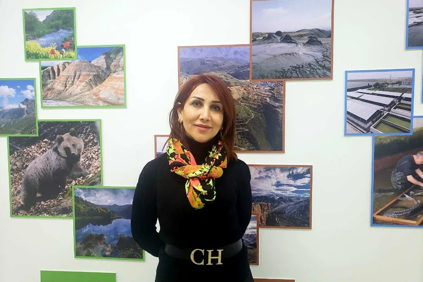 ETSN rəsmisi: “Yaşıllıqların budanması mütəxəssislərin rəy və məsləhətləri nəzərə alınmaqla olmalıdır”