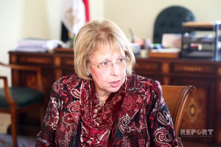 Ambassador: Azerbaijan and Egypt need to increase economic relations