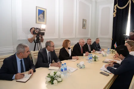 Central Election Commission chief informs OSCE mission on preparations for early presidential elections in Azerbaijan
