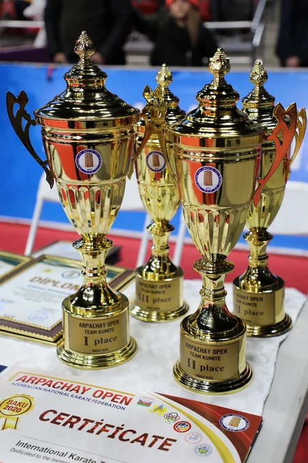 20 Yanvar şəhidlərinin xatirəsinə həsr olunan ənənəvi beynəlxalq karate turniri başa çatıb