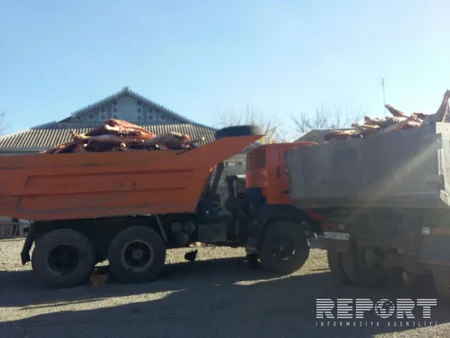 Bərdədə 20 ton mənşəyi məlum olmayan ət yandırılıb - FOTO
