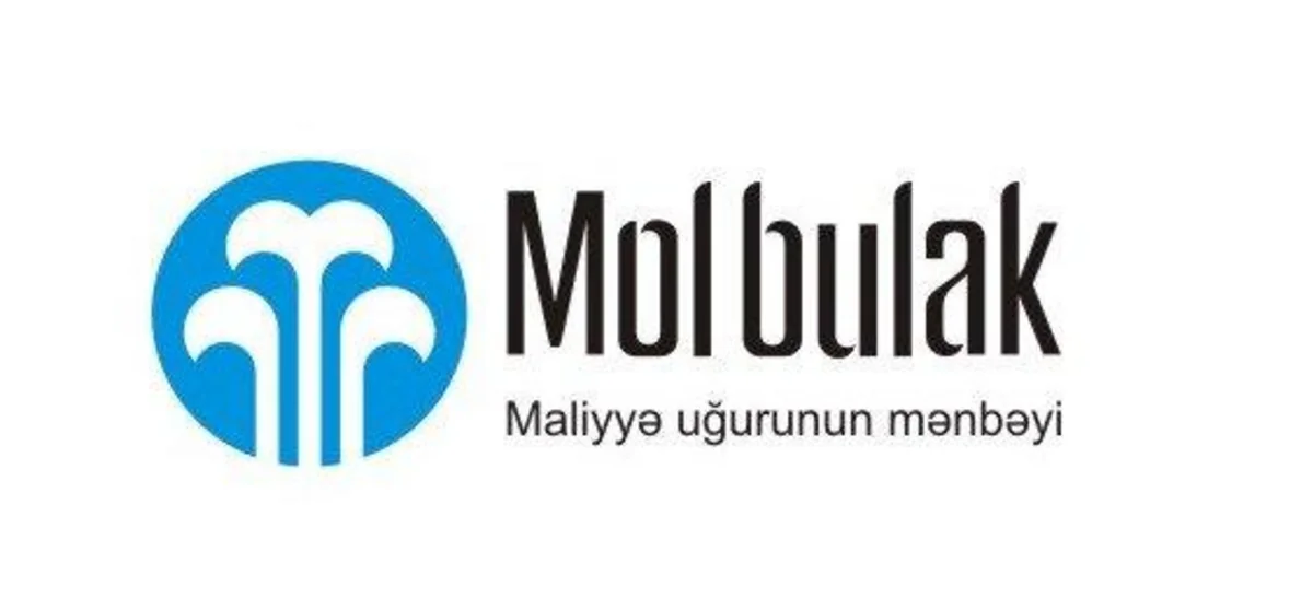 ​Mol Bulakın aktivləri illik müqayisədə 8% artıb