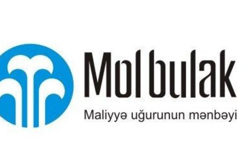​Mol Bulakın aktivləri illik müqayisədə 8% artıb