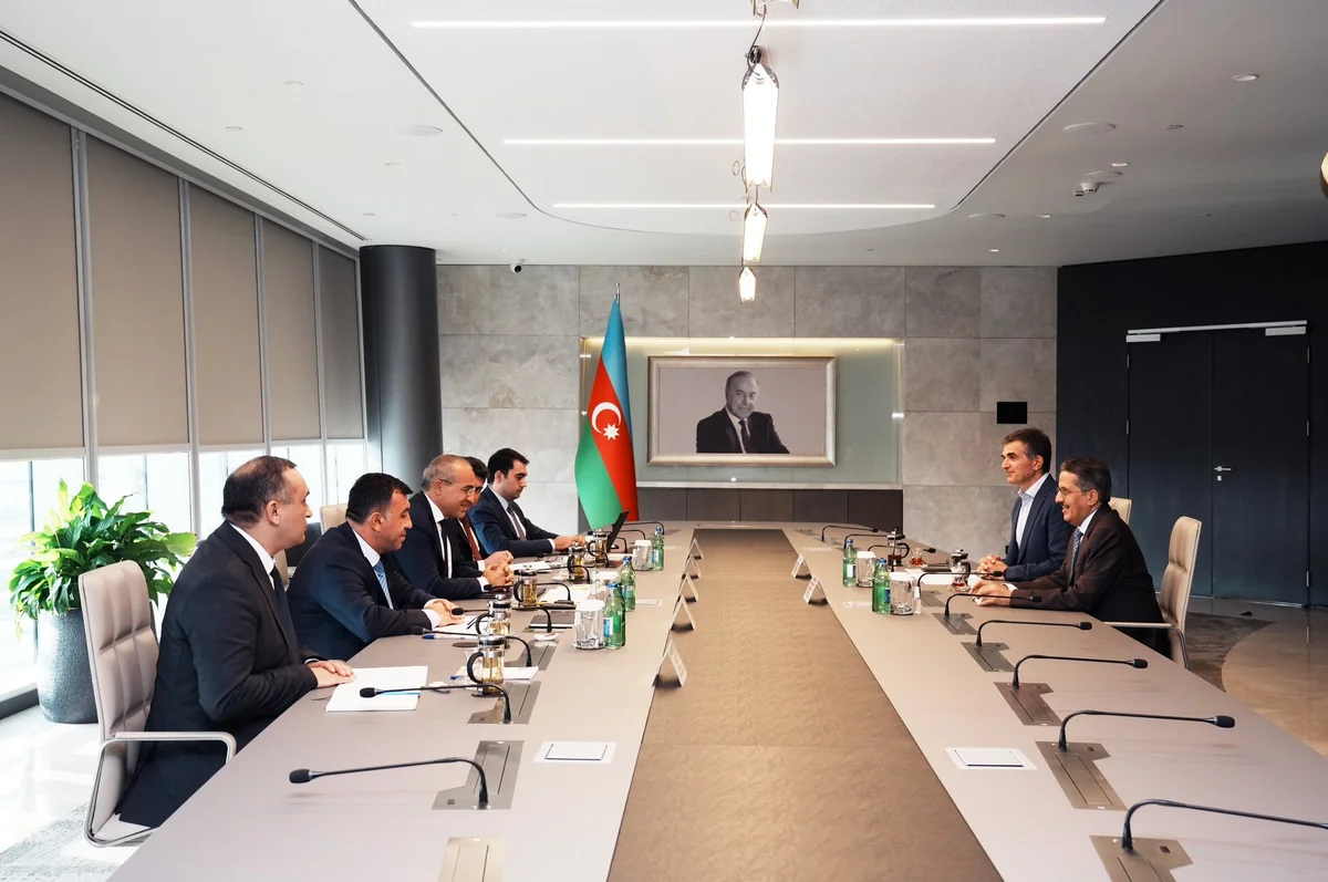 Azerbaijan, ACWA Power mull potential for execution of energy projects