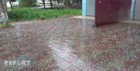 В Лянкяране выпал град, пострадали хозяйства - ФОТО