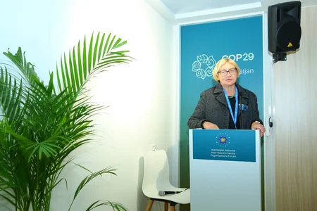 BAMF COP29-da iqlim böhranına qarşı QHT-lərin rolu mövzusunda konfrans təşkil edib