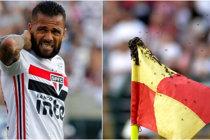 Самый титулованный футболист мира подвергся нападению пчел - ВИДЕО