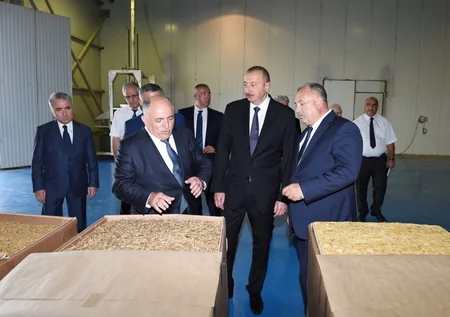 President Ilham Aliyev views tobacco processing plant in Zagatala