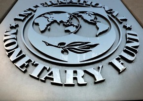 IMF Gürcüstana əlavə 111 milyon dollar ayıracaq