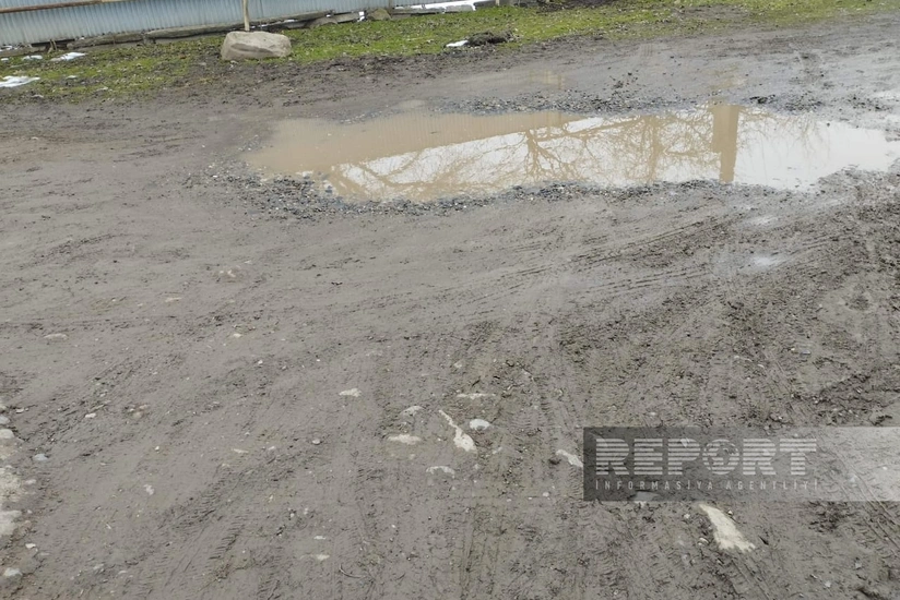 Cəlilabadın Zopun kəndinin yolları bərbad vəziyyətə düşüb