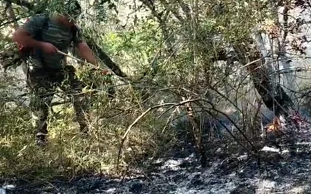 FHN: Təngəaltı və Dağ Quşçu kəndlərində yanğın tam söndürülüb