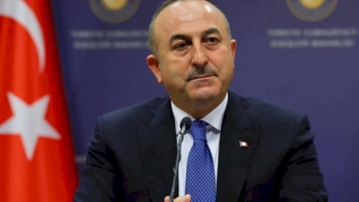 Türkiyə Gürcüstanın NATO-ya üzv olmasını istəyir