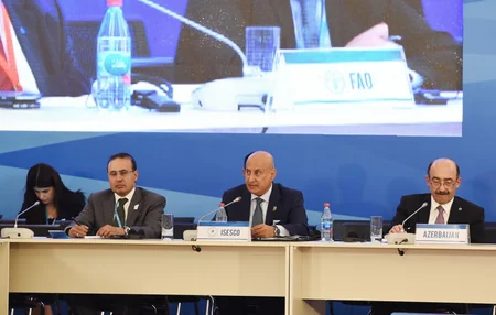Mehriban Əliyeva: Bu gün dünya qarşılıqlı anlaşma əsasında sivilizasiyaların dəyərlərinin qorunmasına ciddi ehtiyac duyur