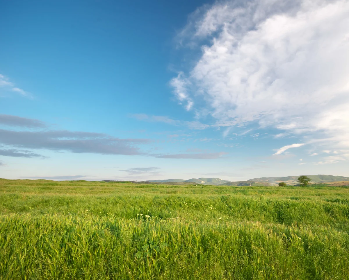Sabahın hava proqnozu açıqlandı