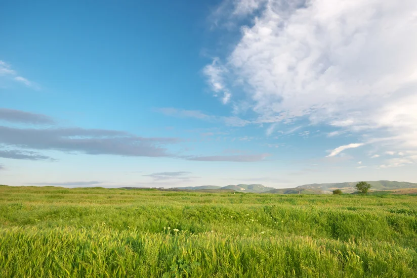 Sabahın hava proqnozu açıqlandı