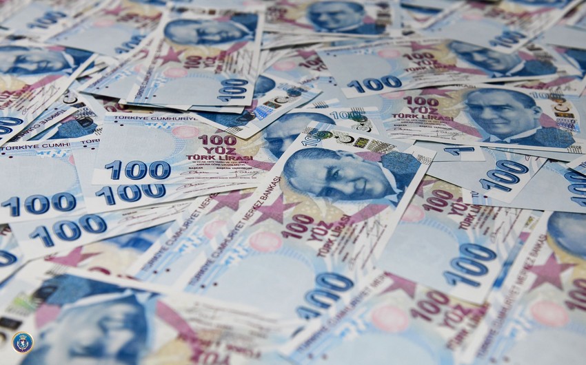 Курс турецкой лиры снизился на 6% 