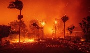 NBC: Площадь пожара рядом с Гранд-Каньоном за сутки увеличилась почти в 10 раз