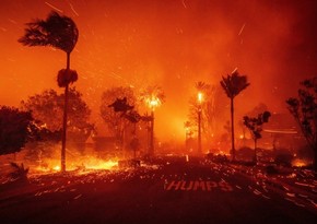 Wildfire near Grand Canyon expands almost twentyfold over 24 hours