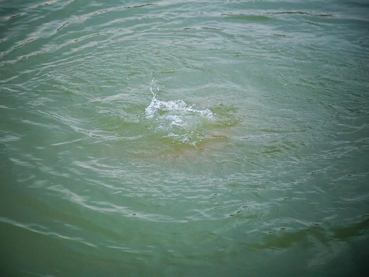 Cəlilabadda azyaşlı bacılar kanalda boğulub, araşdırma aparılır - TƏFƏRRÜAT - YENİLƏNİB