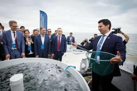 50,000 sturgeon released into the Caspian Sea by Azerbaijan fish farm to mark International Day for Biological Diversity