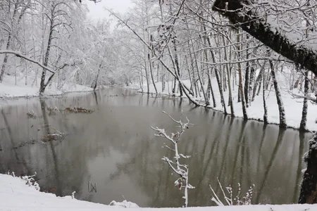 Azərbaycan parklarının qış görüntüləri - FOTOREPORTAJ