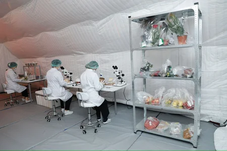 Azərbaycanda ilk dəfə Səyyar Fitosanitar Laboratoriya fəaliyyətə başlayıb