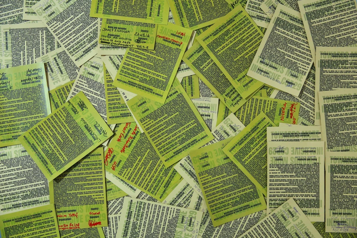 Global South NGO Platform established on Azerbaijan's initiative