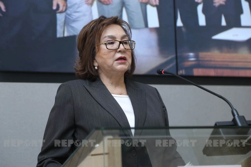 DİM sədri: Dövlət Qulluğu Məcəlləsinin layihəsi hazırlanıb