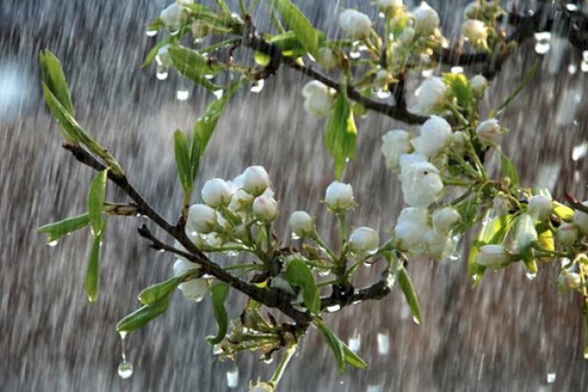 Порывы ветра в Баку достигли 23 м/с