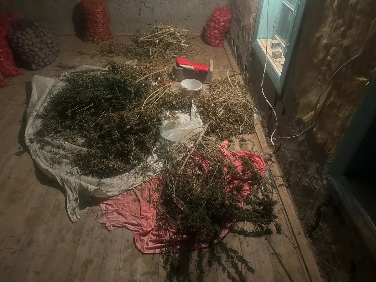 Sabirabad sakininin evində 4 kiloqramdan artıq narkotik vasitə aşkarlanıb 