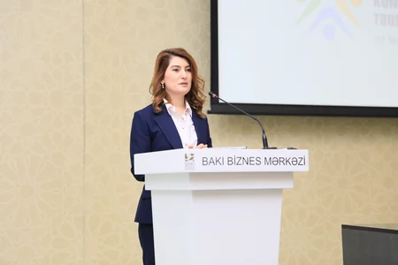 Qarabağ və Şərqi Zəngəzura qayıdışla bağlı konsepsiya sənədi təqdim olunub