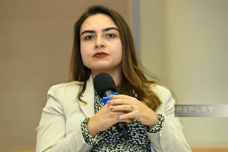 UN Office to invite climate experts to Azerbaijan within COP29