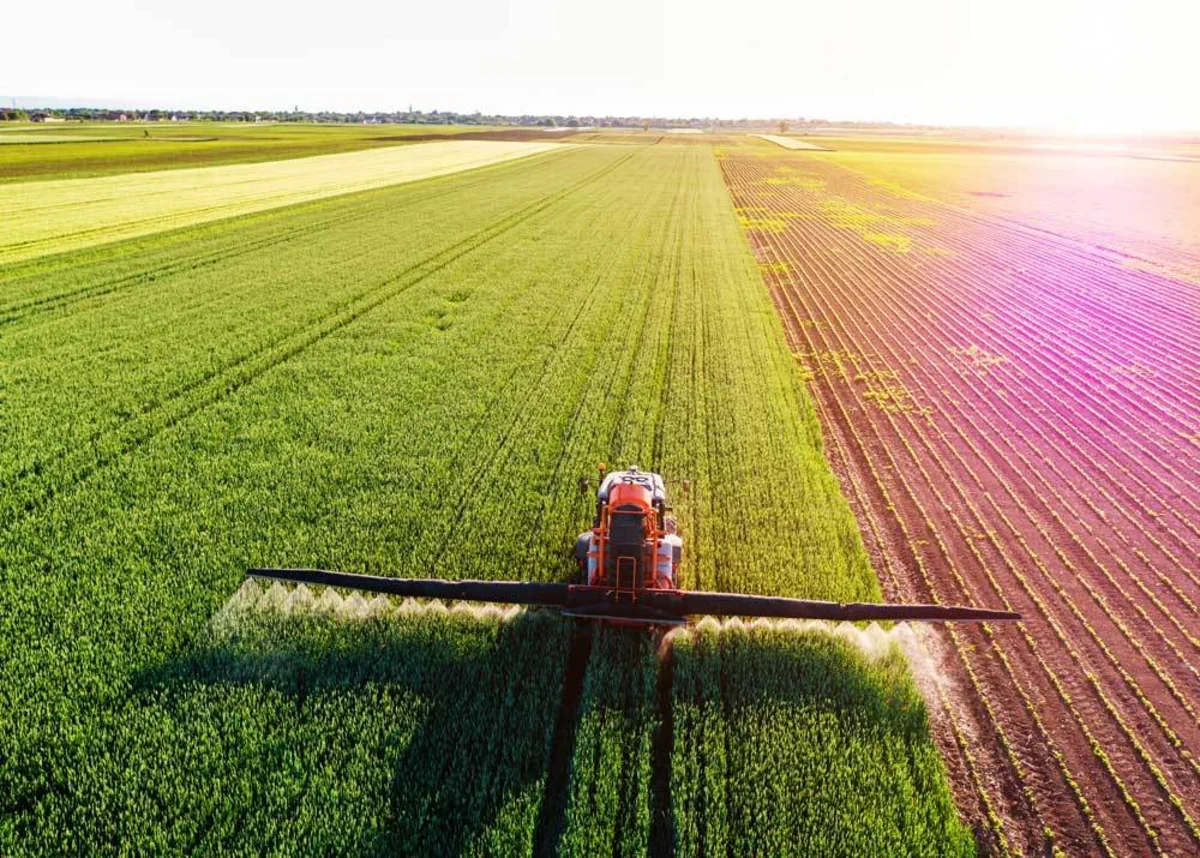 Azərbaycanda aqrar sektor 4%-ə yaxın böyüyüb