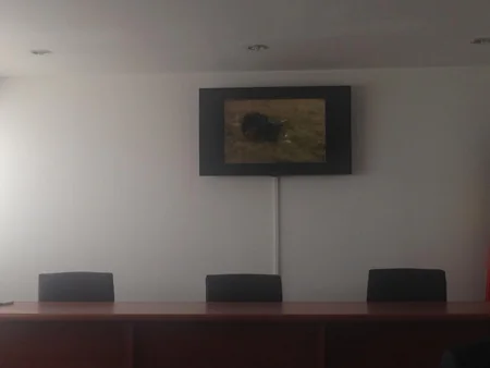 Xocalı faciəsinin 25-ci ildönümü Buxarestdə də anılıb