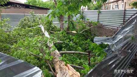 Güclü külək və leysan yağışlar bir sıra rayonlarda fəsadlar törədib - FOTO - YENİLƏNİB