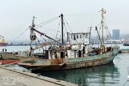 ​Gürcüstanın Qara dəniz incisi - Batumi - FOTOREPORTAJ