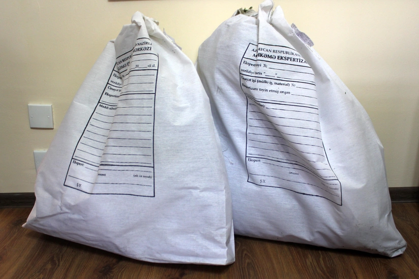 Polis Xaçmazda əməliyyat keçirib, 8 kq çətənə kolu aşkarlanıb