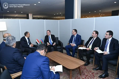 FMs of Azerbaijan, Egypt mull bilateral co-op