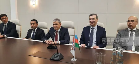Serbiyanın Novi Pazar şəhər merinin rəhbərlik etdiyi nümayəndə heyəti Şuşada səfərdədir