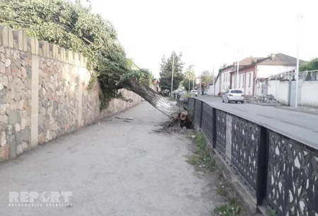 Güclü külək Şimal bölgəsində dağıntılar törədib - FOTO