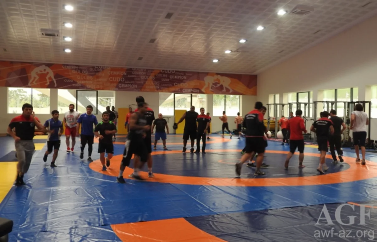 ​Azərbaycan güləşçiləri Rio-2016-ya ABŞ və Mərakeş idmançıları ilə birgə hazırlaşır
