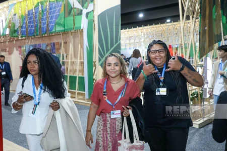 На COP29 представлены павильоны разных стран