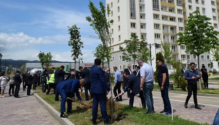 “AS Qrup İnvestment”in Tiflisdə inşa etdiyi kompleksin ərazisində Heydər Əliyevin xatirəsinə 95 ağac əkilib