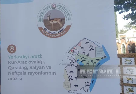 Gəncədə Azərbaycanın milli parklarının tanıtımı olub