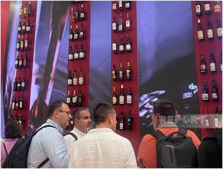 Lessons of Italian: wine rivers and olive banks...