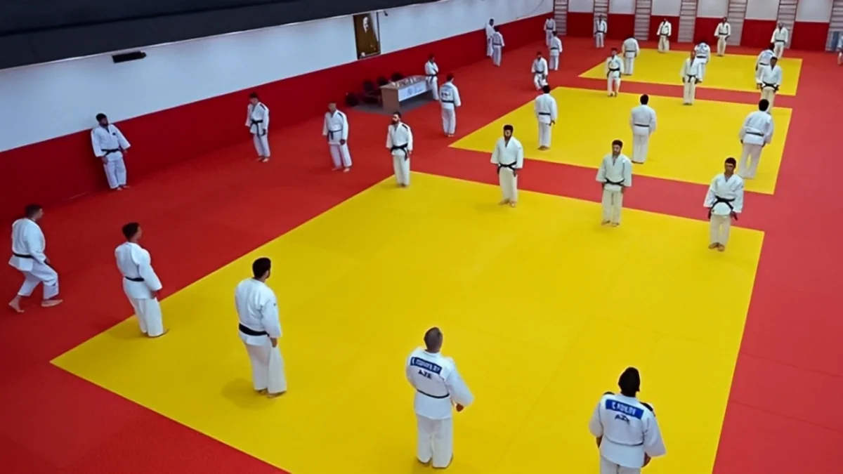 Bakıda dan dərəcələri üzrə seminar və imtahan baş tutacaq