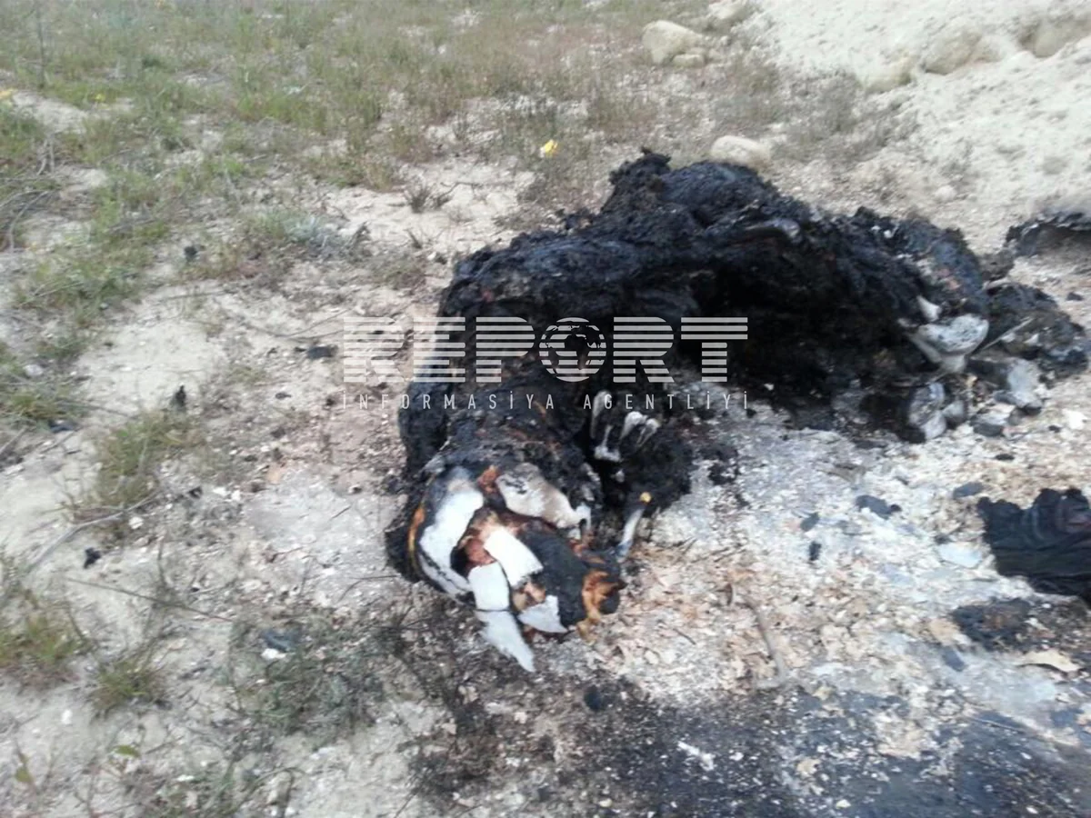 ​Bakıda polis yoldaşını öldürüb yandıran şəxsin məhkəməsi başlayıb - FOTO