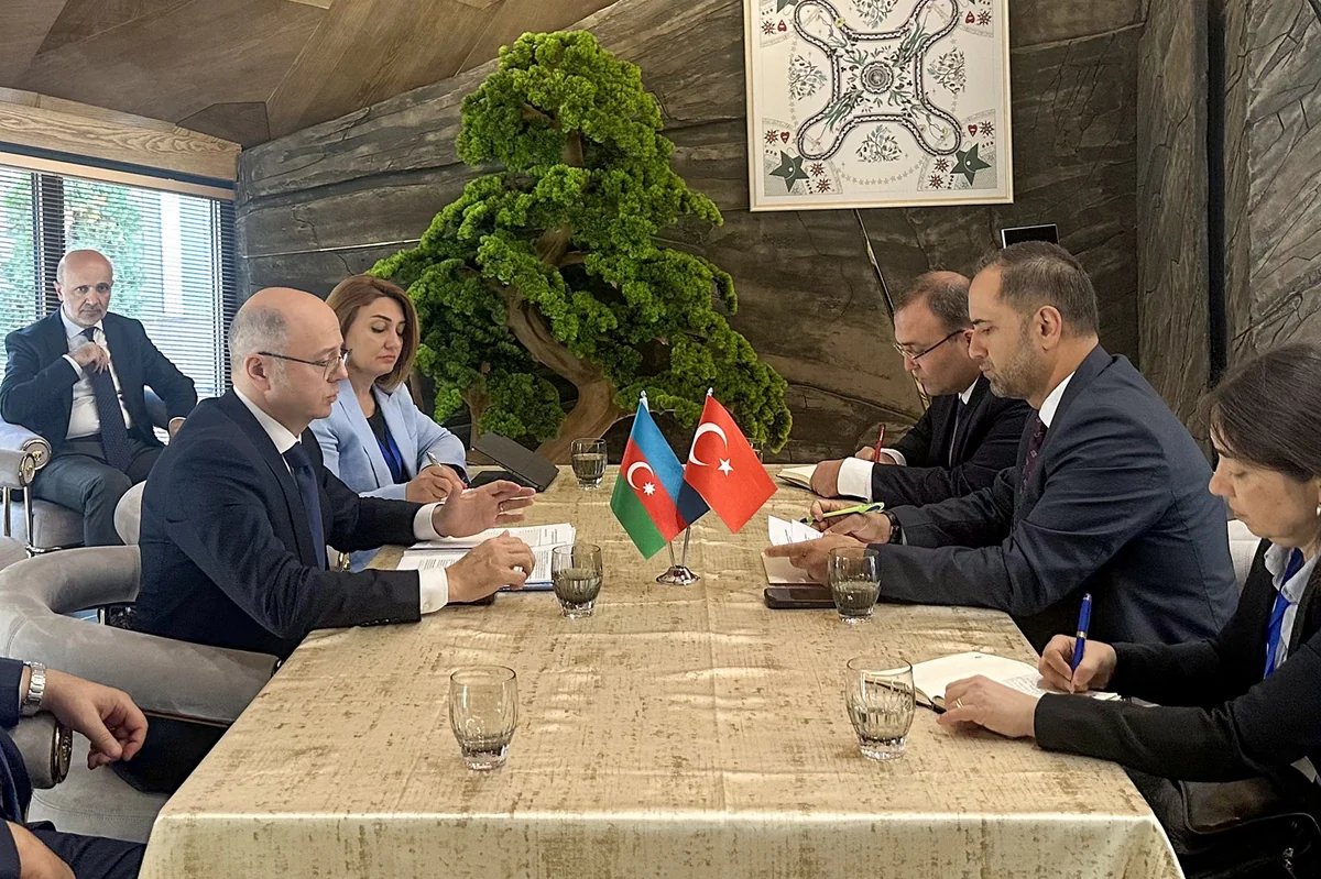Azerbaijan, Türkiye mull energy co-op