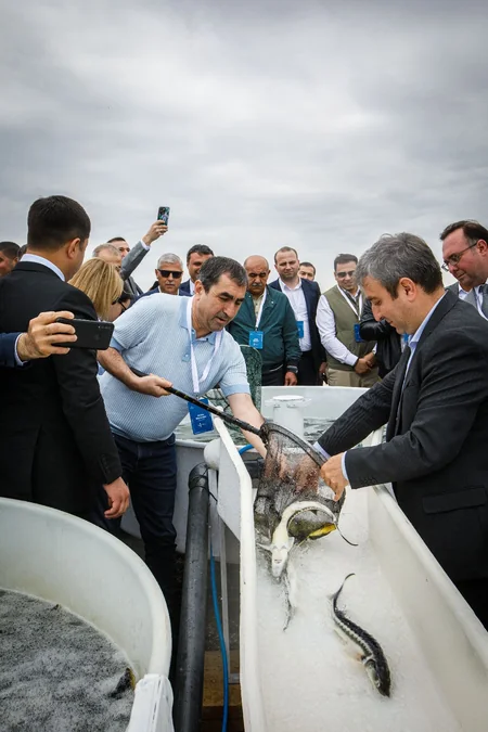 50,000 sturgeon released into the Caspian Sea by Azerbaijan fish farm to mark International Day for Biological Diversity